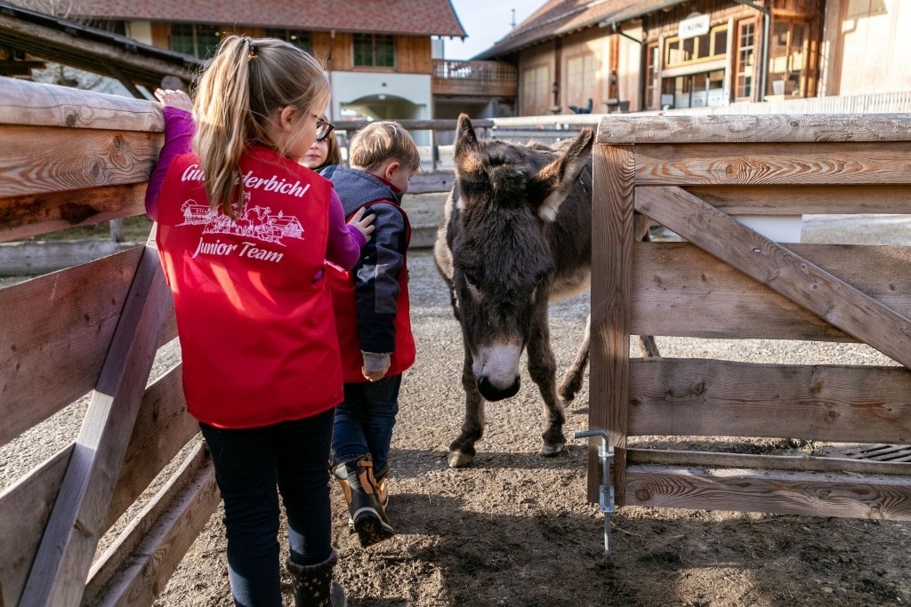 Gut Aiderbichl Junior Team: Les ânes veulent aussi être de la partie