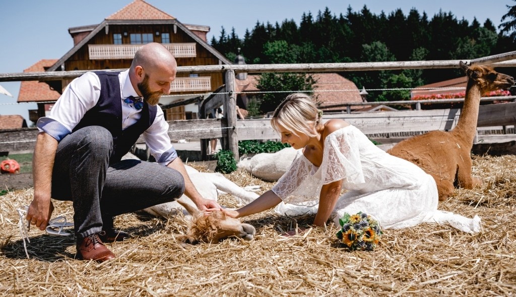 Unique wedding photos with our animals
