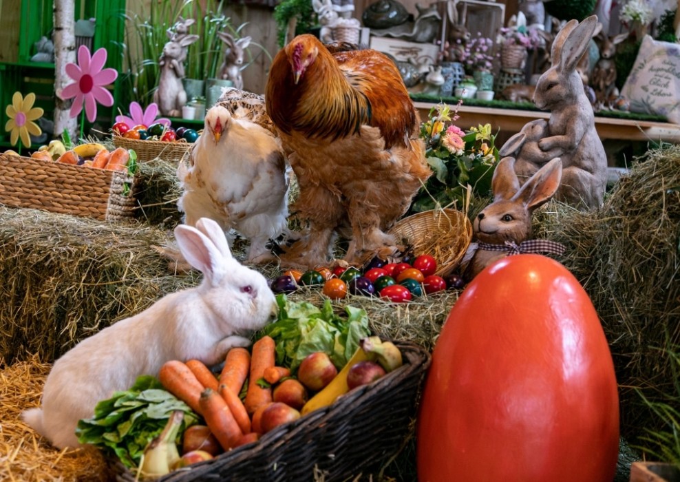 Easter market at Gut Aiderbichl