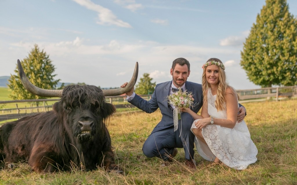 Unique wedding photos with our animals
