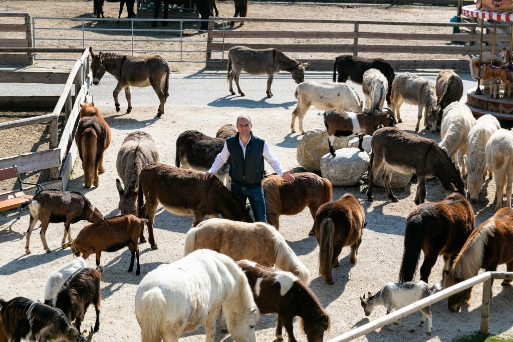 Animals take over the farm at Gut Aiderbichl Henndorf during Corona