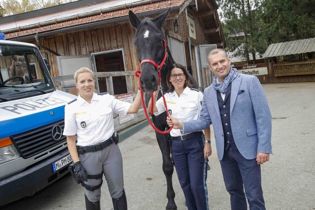 Arrival of police horse Fidelio at Gut Aiderbichl Henndorf