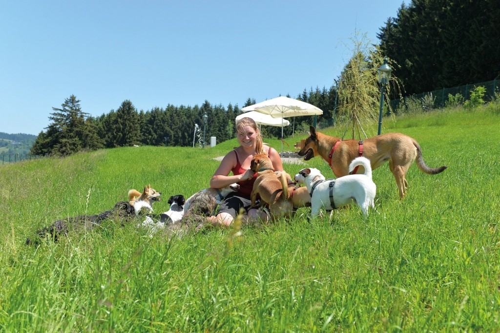 Eva Zach mit Hunden auf der Hundewiese