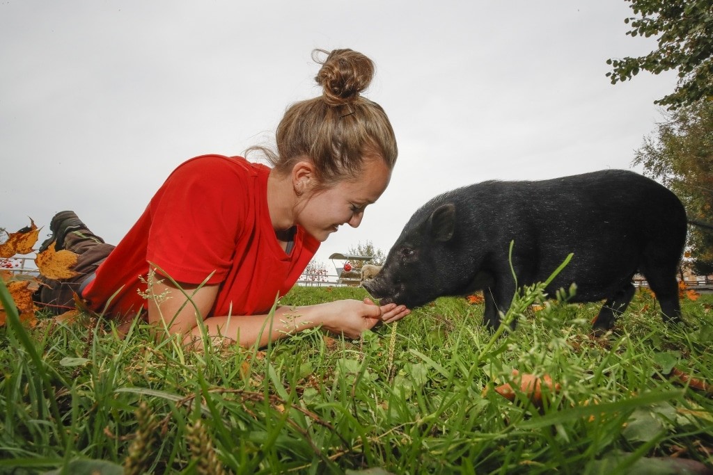 Animal keeper Melina with rescued mini pig Coco