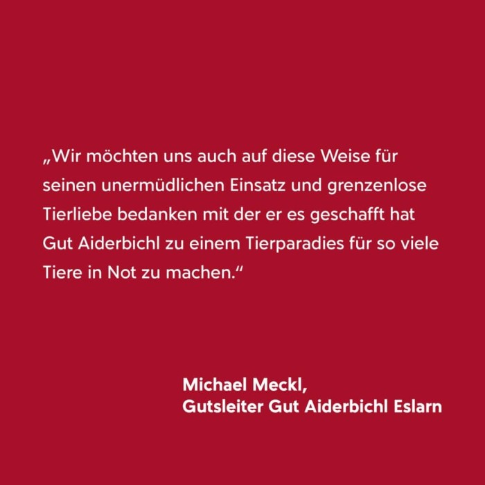 MichaelMeckl_Gebwunsch