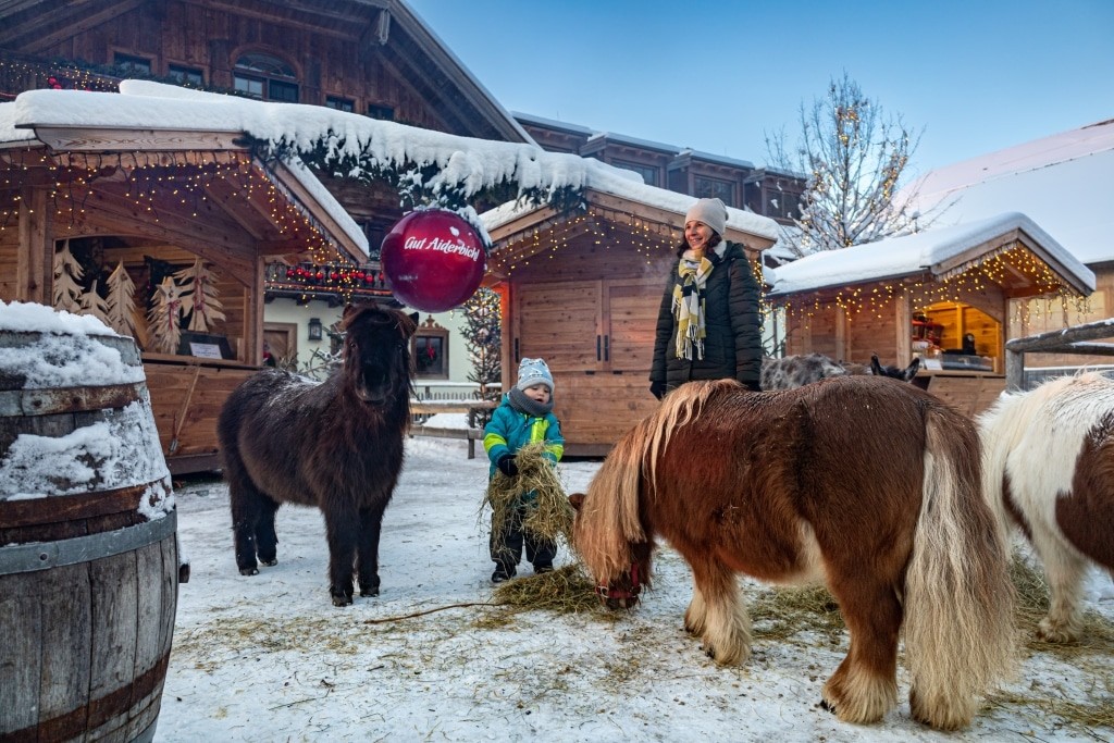 Unsere Ponys am Weihnachtsmarkt auf Gut Aiderbichl Henndorf
