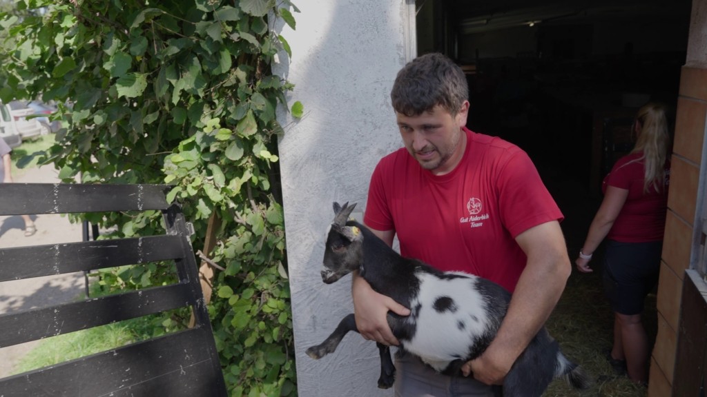 300 Ziegen und Schafe finden ein neues Zuhause_Michael Meckl mit Ziege
