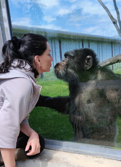 Sonja Klima with chimpanzee Blacky at the Gut Aiderbichl monkey sanctuary_small