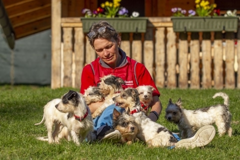 Anita with rescued dogs