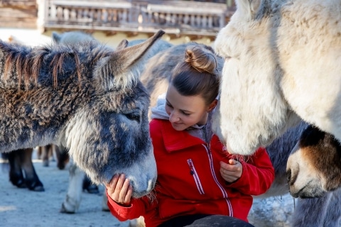 Animal keeper Sabine with donkeys